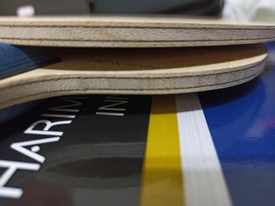 【BUTTERFLY蝴蝶】超級張本智和 SZLC SUPER ZLC 日本版3