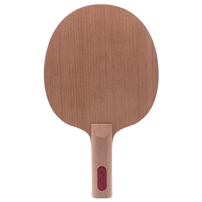 【 Der Materialspezialist 】德國材料專家 球拍 全能型 -  Revolution1