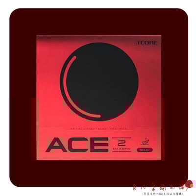 【 TMOUNT 金澤洙 】ACE2 #台灣代理#1