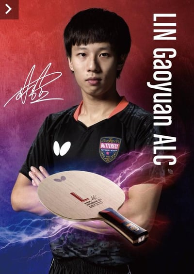 【BUTTERFLY蝴蝶】蝶 林高遠 ALC 絕版品4