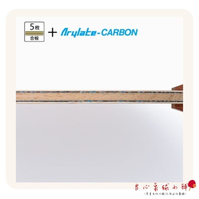 【BUTTERFLY蝴蝶】蝴蝶 70周年紀念拍 努力4