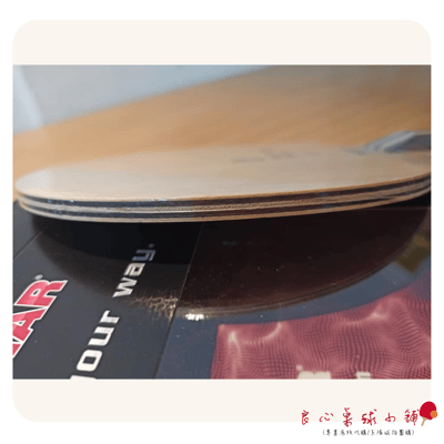 【TIBHAR】Szocs Signature (Szocs 同名代言拍)4