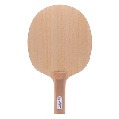 【 Der Materialspezialist 】德國材料專家 球拍  防守型 -  The Wall Carbon1