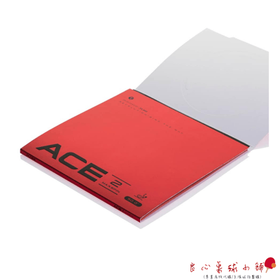 【 TMOUNT 金澤洙 】ACE2 #台灣代理#3