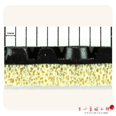 【YASAKA】RAKZA PO 氣泡式海綿短顆膠皮(世錦賽男單亞軍FALCK用皮)2