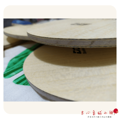 【 Double Day 】Super ALC 鱗 ＃波爾ALC/VISCARIA蝴蝶王可參考＃3