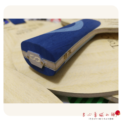 【 Double Day 】Super ALC 鱗 ＃波爾ALC/VISCARIA蝴蝶王可參考＃5