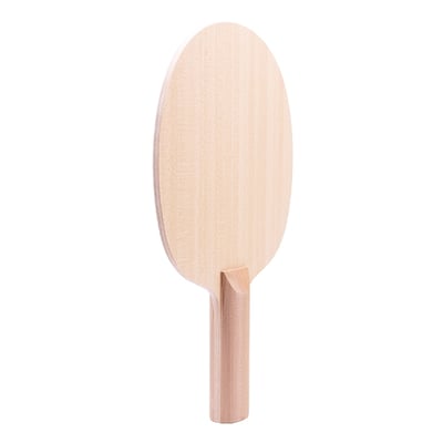 【 Der Materialspezialist 】德國材料專家 球拍  防守型 -  The Wall5