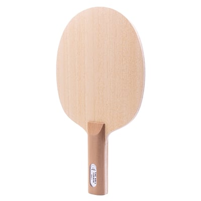 【 Der Materialspezialist 】德國材料專家 球拍  防守型 -  The Wall Carbon7