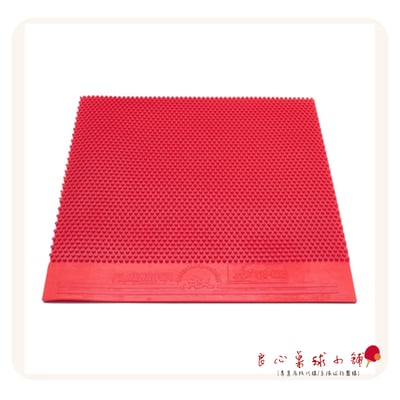 【 Der Materialspezialist 】德國材料專家 膠皮 長顆粒 - Flashback2