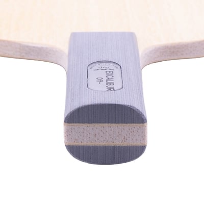 【 Der Materialspezialist 】德國材料專家 球拍 進攻型 - Excalibur2