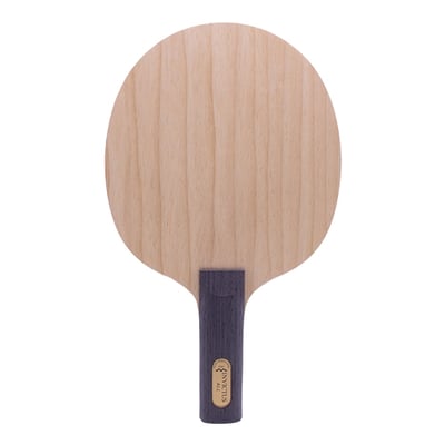 【 Der Materialspezialist 】德國材料專家 球拍   全能型 -  Invictus1