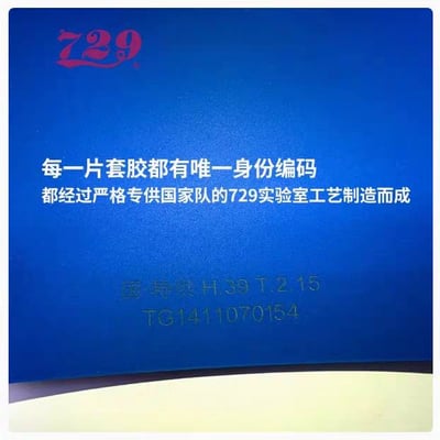 【729友誼】國隊特供版藍海綿奔騰3