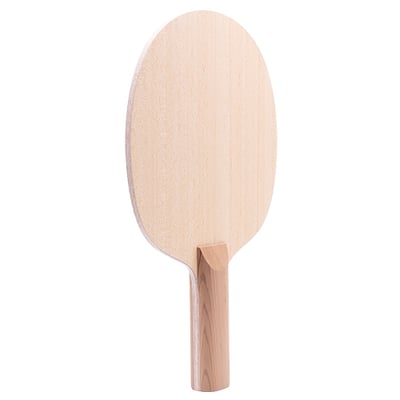 【 Der Materialspezialist 】德國材料專家 球拍  防守型 -  The Wall Carbon5