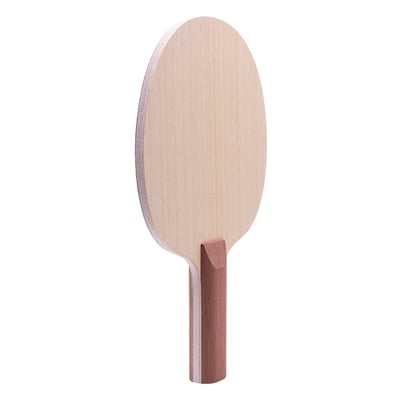 【 Der Materialspezialist 】德國材料專家 球拍 異質 - Wizard5