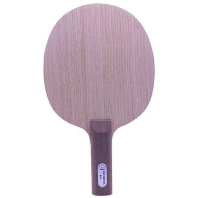 【 Der Materialspezialist 】德國材料專家 球拍  防守型 -  Super Control1