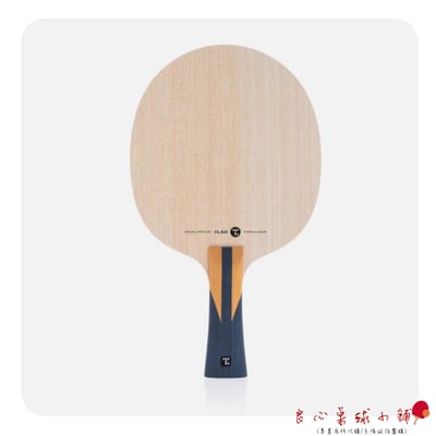 【 TMOUNT 金澤洙 】Hyper Carbon T540 ( 結構同梁靖坤 )  #台灣代理#3