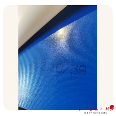 【紅雙喜】NEO 藍海綿 專業版710S 省隊版狂飆3 專業版 尼奧藍省 藍省4