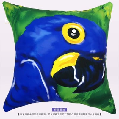 【方形抱枕】客製印刷(50公分以上)2