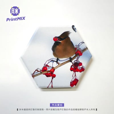 【陶瓷磁鐵】客製印刷 ∣六角形 ∣ 6x6.9cm1