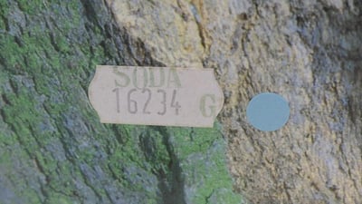 【美好時光】近新美品！全球最低價！2002年份ROLEX 16234方納石寶石面盒單全! 16014 116234參考10