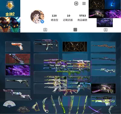 【編號VY83】月付1800元起 主打絕版冠軍2021+冠軍2024套+奧術2.0+EXO套+掠奪套等造型1