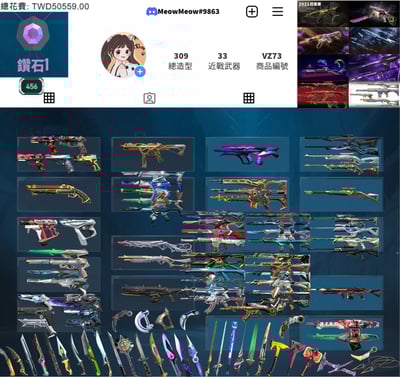 【編號VZ73】月付2900元起主打冠軍2021套+冠軍2023+冠軍2024套+黑波套+RGX3.0套+奇點套+歌德套等造型 12特效暴徒8特效幻象33近戰武器等造型1