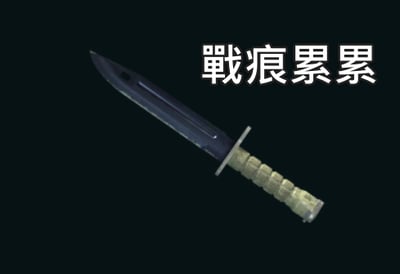 【編號KN03】月付1000元起 ★ 刺刀 | 藍鋼 官方賴詢問 @192kpmuu1