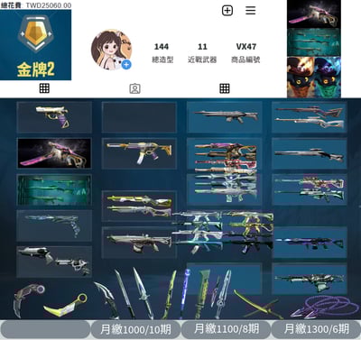 【編號VX47】月付1000元起 主打冠軍24套+異星2.0套 黑波/星靈/至尊/電幻/紫金/掠奪/棄王暴徒 冠四/異星/惡鬼/電幻/輻能/離子幻象 EXO武士刀RGX紫金爪刀等造型1