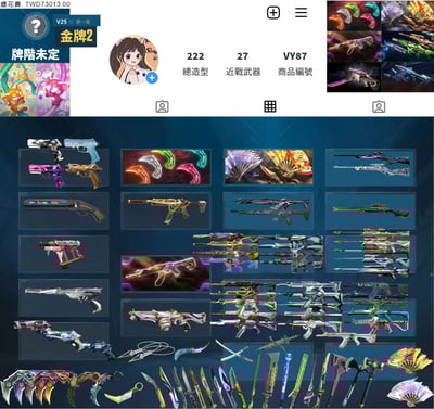 【編號VY87】月付2600元起 主打絕版冠軍2023+冠軍2024套+鳳凰摺扇套+VCT爪刀+RGX套+黑波槍刀+雙排日套 14特效暴徒7特效幻象27近戰武器等造型1