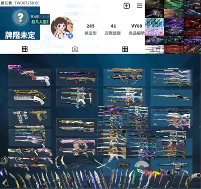 【編號VY89】月付4000元起 主打絕版冠軍2021套+冠軍2024套+憐憫之刃套+奧術套+靈花套+惡鬼套+邊陲套+奇點套+虛無套+起源套+海洋套+緋金套+781套+電幻套+蓋亞套+黑波槍刀+歌德套+瓷藝套 18特效暴徒14特效幻象41近戰武器等造型1