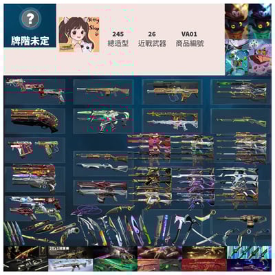【編號VA01】月付2900元起 主打全絕版冠軍21套+22套+23套+24套+25套+VCT憐憫之刃+異變套+邊陲套+惡鬼套+RGX套+歌德套+極簡套+雙排日2.0+萬聖節貓套等造型1
