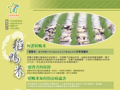 【唐奇嚴選】有機長秈白米 1.5公斤/包3