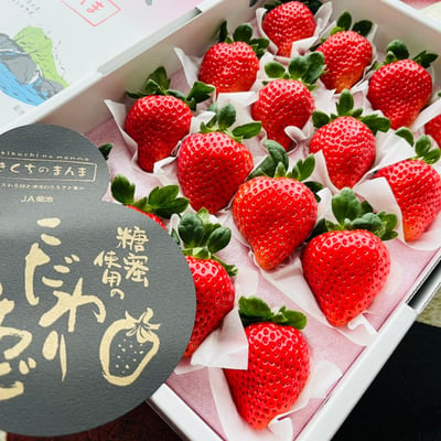 日本糖蜜草莓｜頂級栽培・高規格珍稀品種1