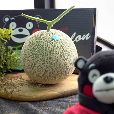 日本熊本溫室哈密瓜｜獨心栽培・紅肉精品1