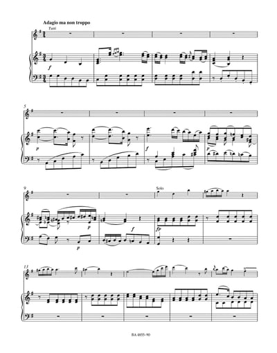 W. A. Mozart : Concerto for Flute and Orchestra in D major K. 314 (285d)Detailed3