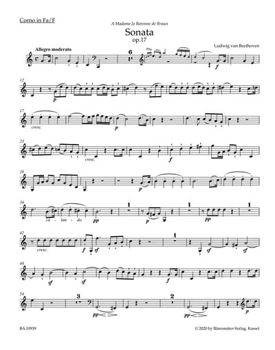 W. A. Mozart : Clarinet Quintet K. 581 for Clarinet, 2 Violins, Viola & Violoncello3