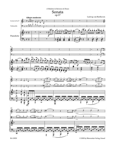 W. A. Mozart : Clarinet Quintet K. 581 for Clarinet, 2 Violins, Viola & Violoncello2