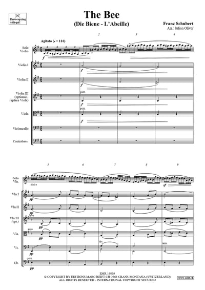 The Bee Die Biene / L'Abeille Violin & String Orchestra3