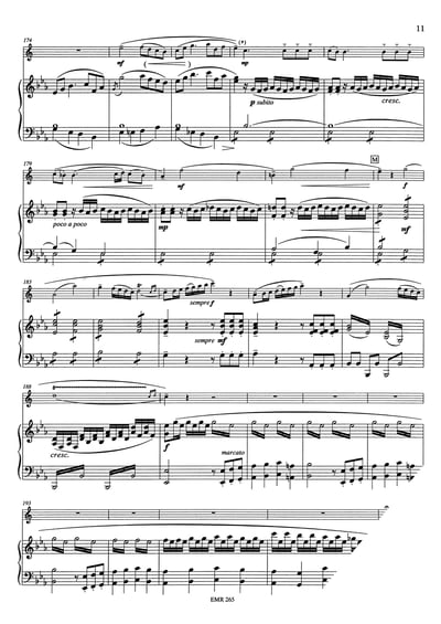 Konzert No. 4 Es-Dur / KV 495 Horn & Piano12