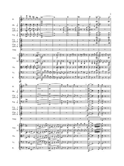 L. v. Beethoven : Symphony No. 4 in B-flat maj op. 60  貝多芬：降B大調 第4號交響曲 作品. 603