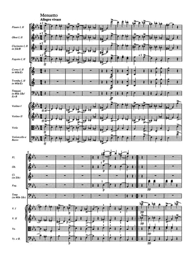 F. Schubert : Symphony No. 4 in C min D 417  舒伯特：C小調 第4號交響曲 悲劇3