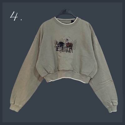 11/2本週買家專屬下單區12