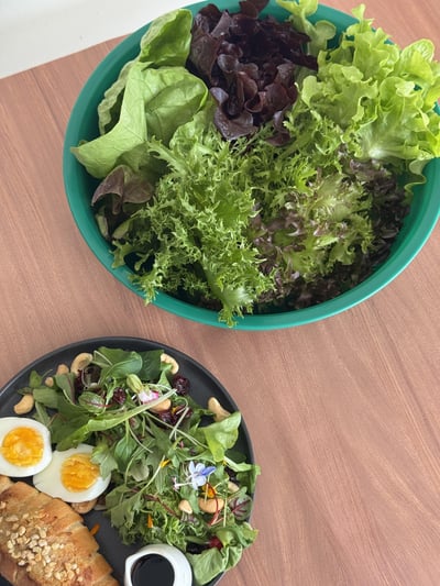 綜合生菜(0210出貨)3