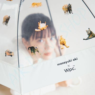 沖昌之さんの撮影 貓雨傘 貓貓雨傘 Masayuki Oki  Wpc 日本傘3