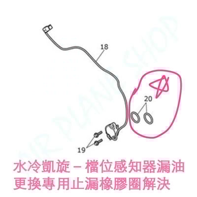 凱旋漏油 檔位感知器橡膠 triumph漏油2