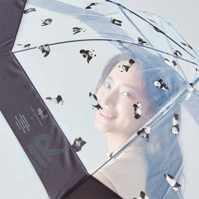 沖昌之さんの撮影 貓雨傘 貓貓雨傘 Masayuki Oki  Wpc 日本傘10