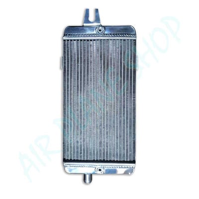 凱旋T120水箱 T100水箱 STREET TWIN散熱器水箱 streetScrambler水箱1