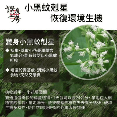 小花蔓澤蘭防蚊液3