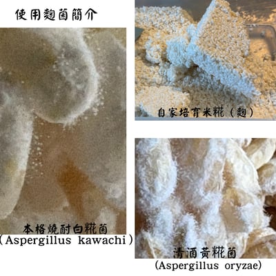 【免運專區】米糀酵飲(甘酒飲)9